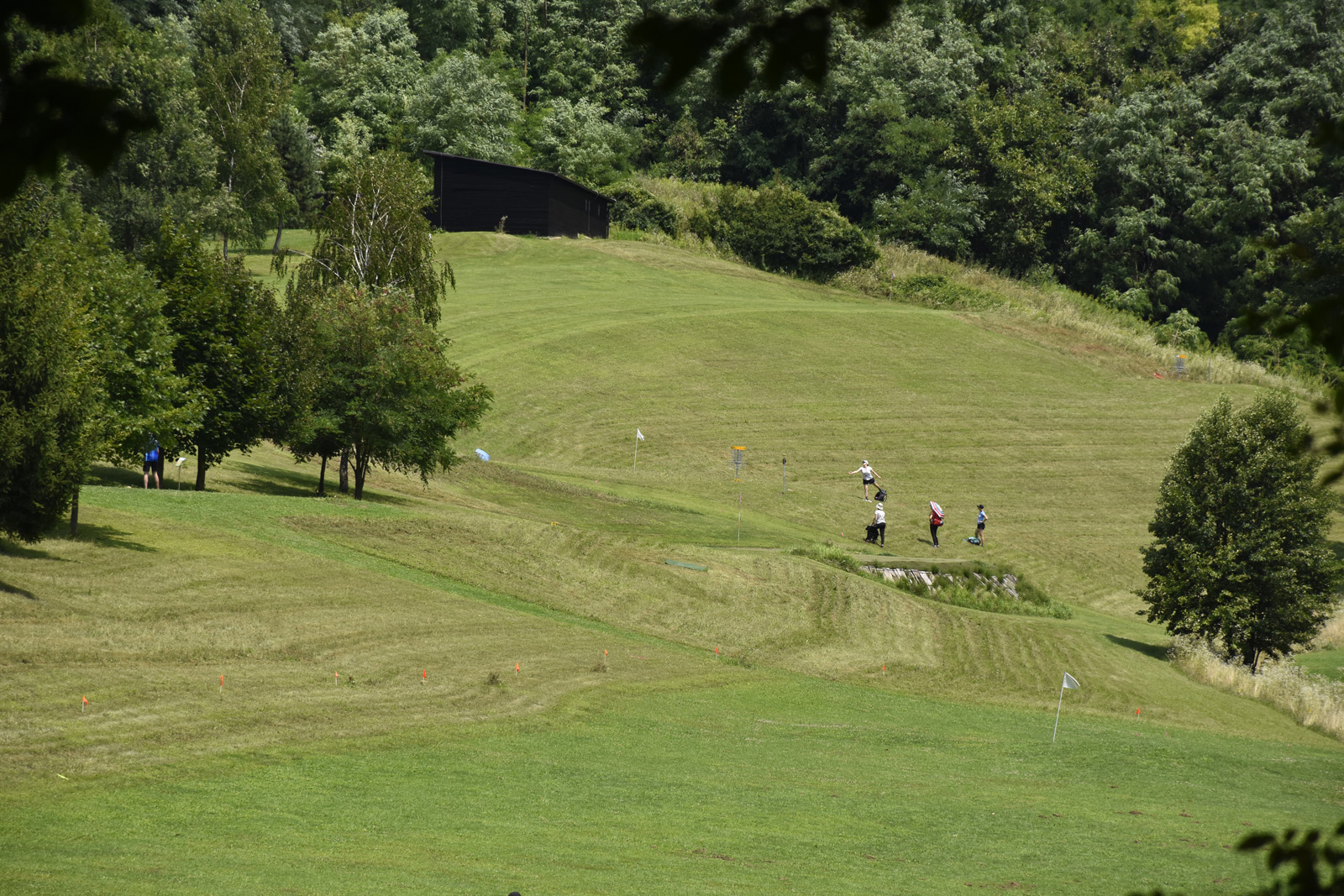 Disc golf